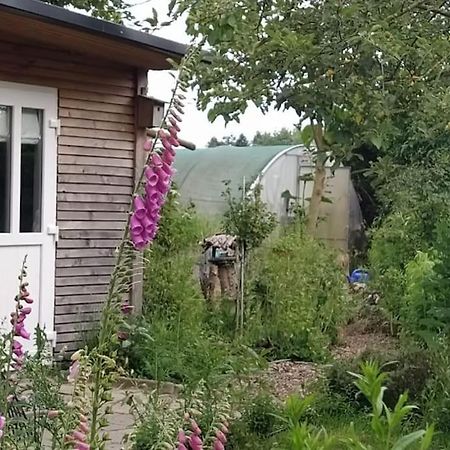 Fairschlafen - Gartenwohnung Bücken Exteriér fotografie