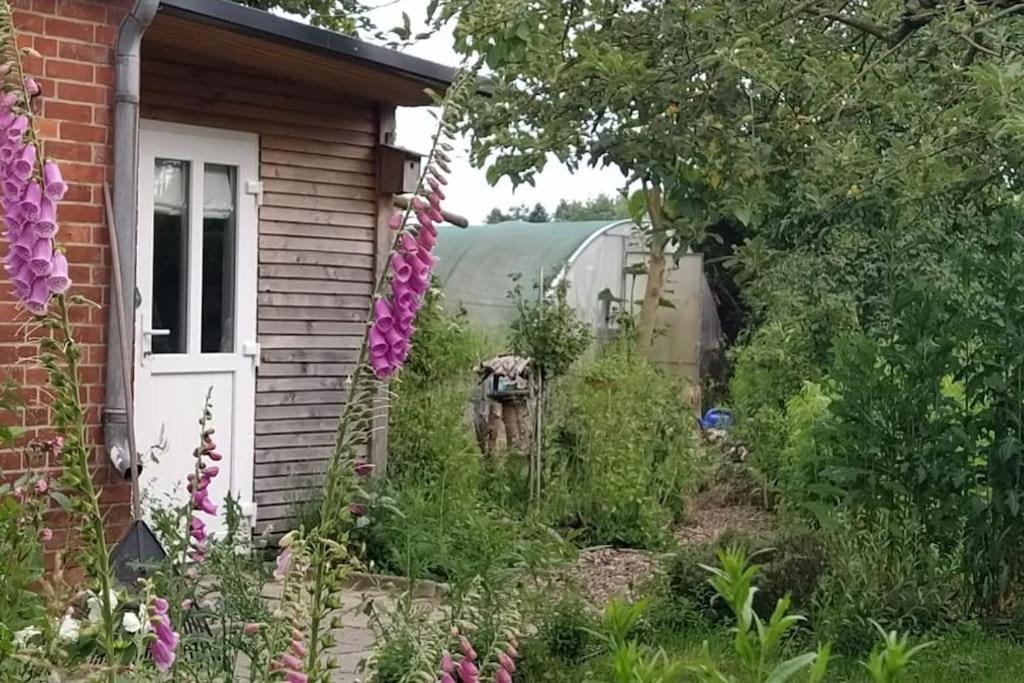 Fairschlafen - Gartenwohnung Bücken Exteriér fotografie