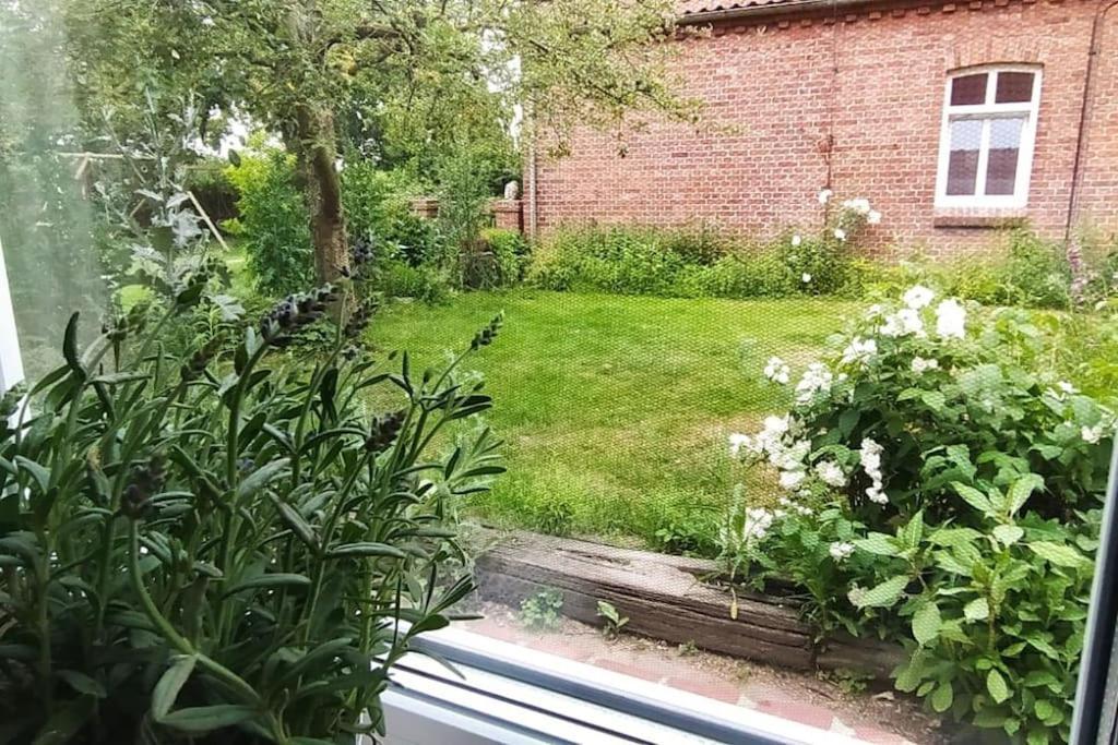 Fairschlafen - Gartenwohnung Bücken Exteriér fotografie